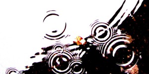 59657408_7b0bf05556_o